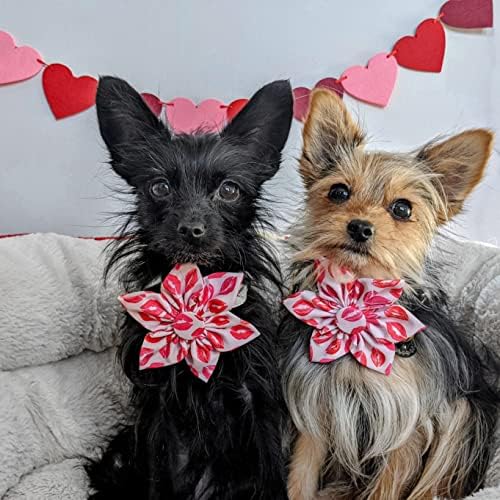 Huxley & Kent Pet Pinwheel | נשיקות | יום האהבה של Velcro Association לכלבים/חתולים | קובץ מצורף צווארון קשת | אביזר חמוד